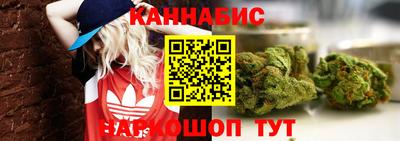 дмт Новодвинск
