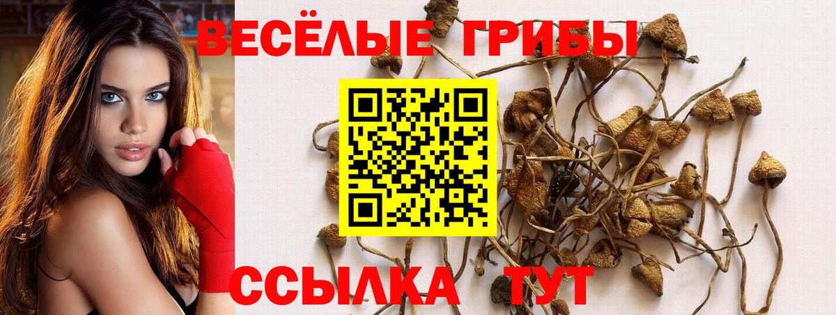 Галлюциногенные грибы Magic Shrooms Урай